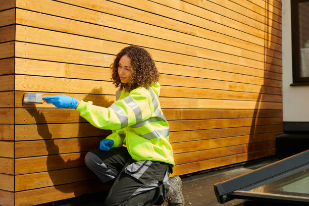 Affordable Siding Repair and Maintenance Services in #City